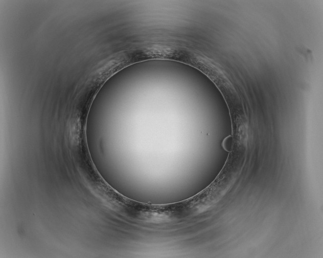 X0000110890498200906181249