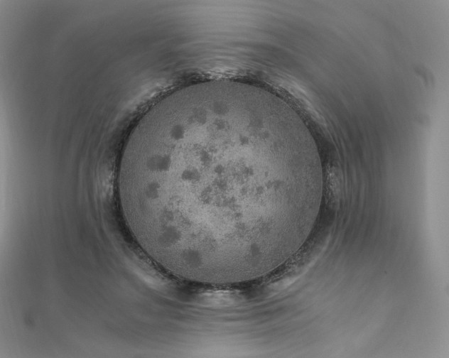 X0000110890499200906181249