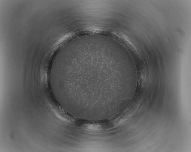 X0000110890500200906181249