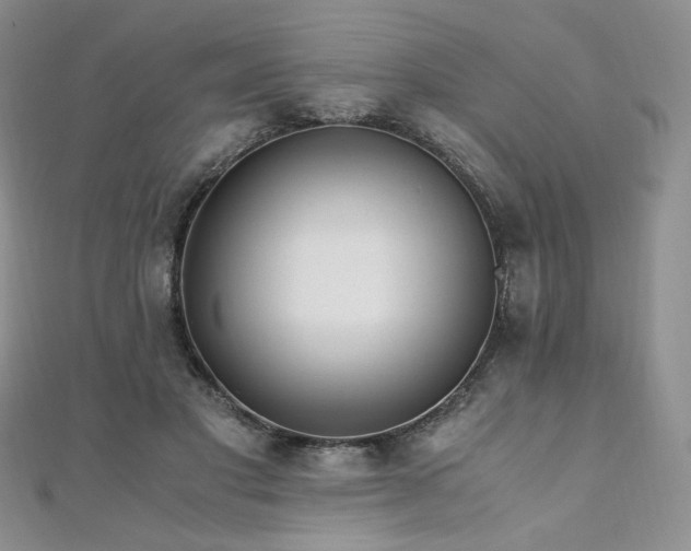 X0000110890501200906181249