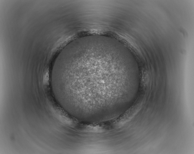 X0000110890502200906181249
