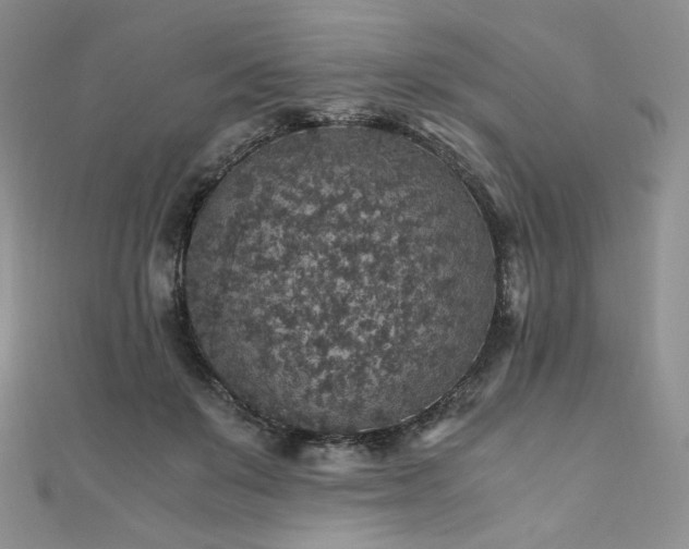 X0000110890503200906181248