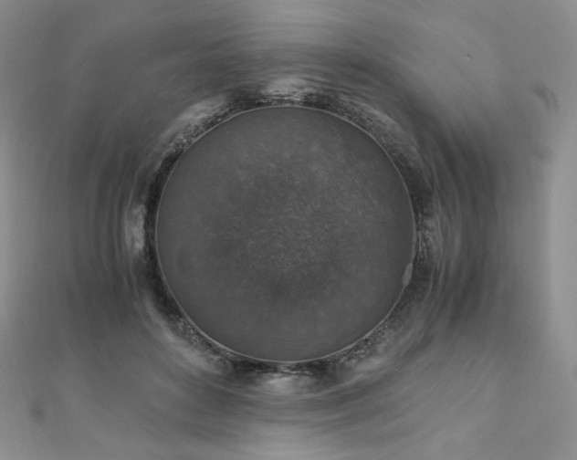 X0000110890504200906181248