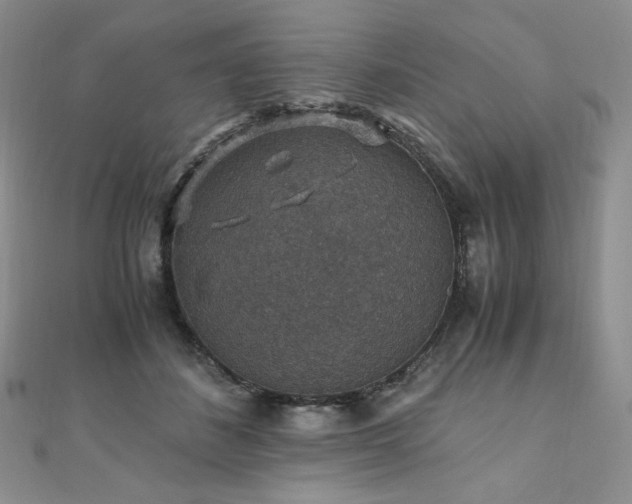 X0000110890508200906181248
