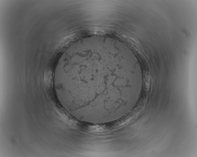 X0000110890511200906181248