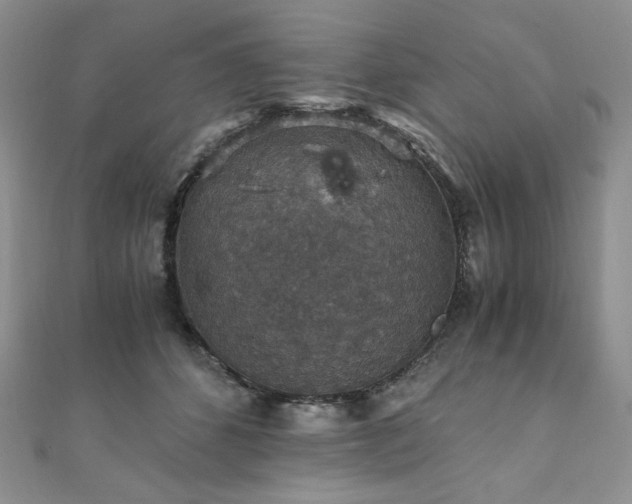 X0000110890512200906181248