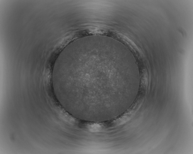 X0000110890513200906181248