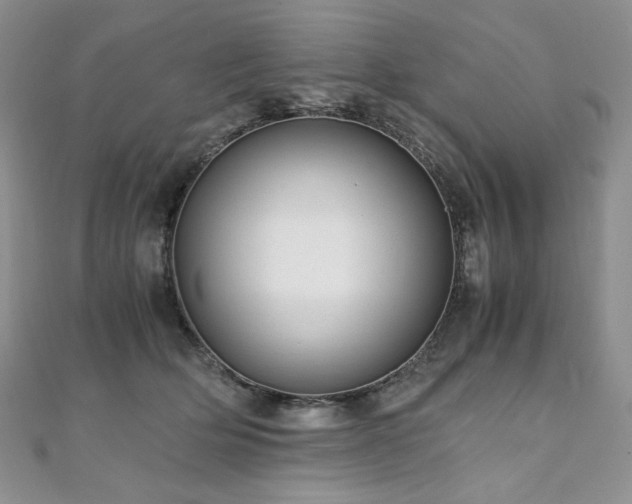 X0000110890514200906181248