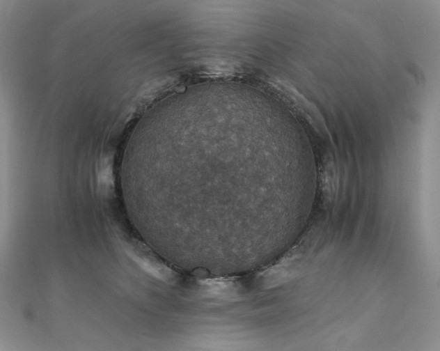 X0000110890516200906181248