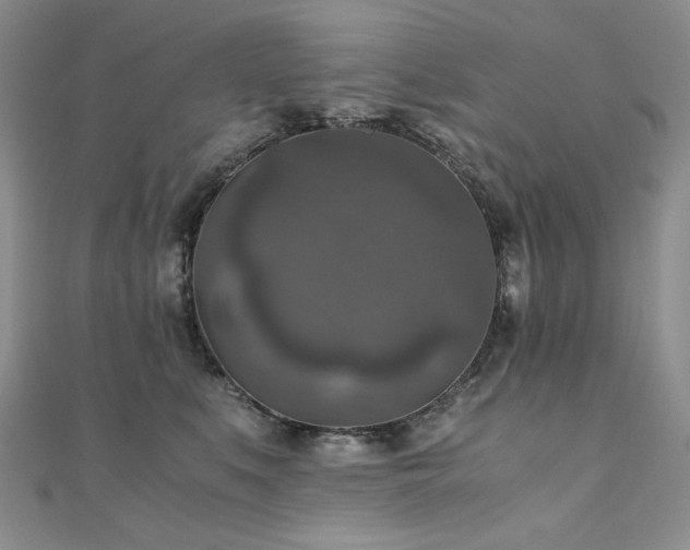 X0000110890519200906181248