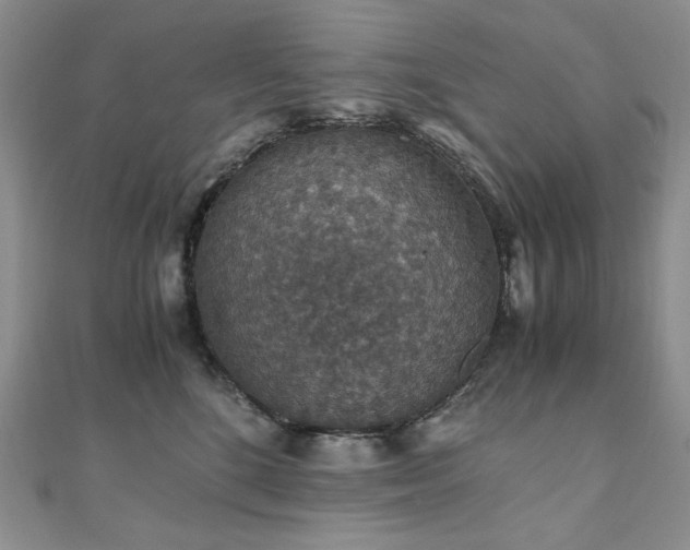 X0000110890520200906181248