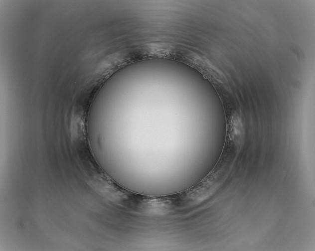 X0000110890522200906181248