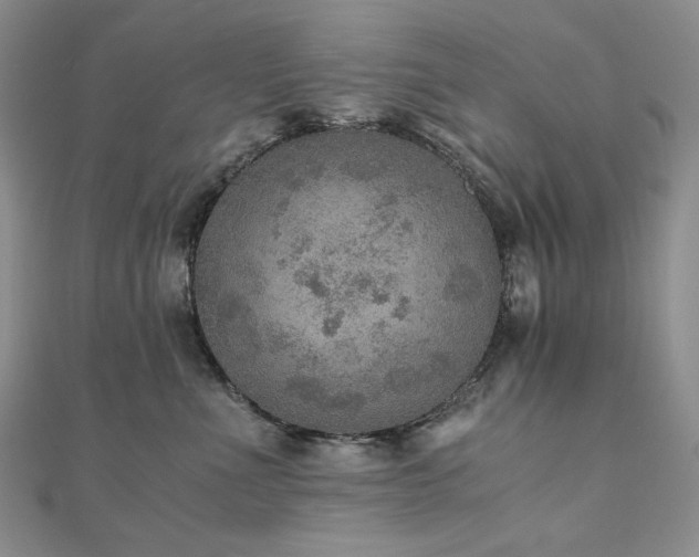 X0000110890523200906181248