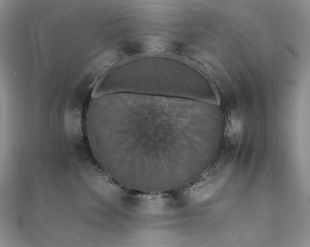 X0000110890524200906181248