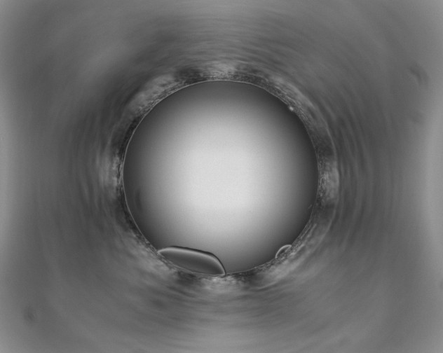 X0000110890525200906181248