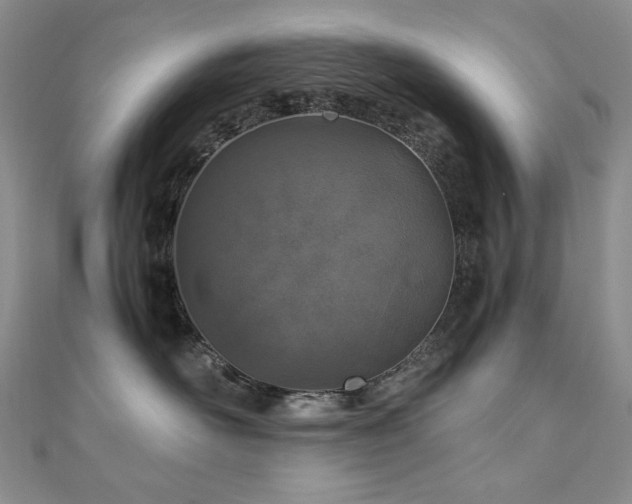 X0000110890526200906181248