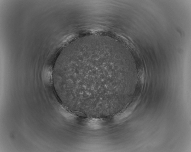 X0000110890527200906181248
