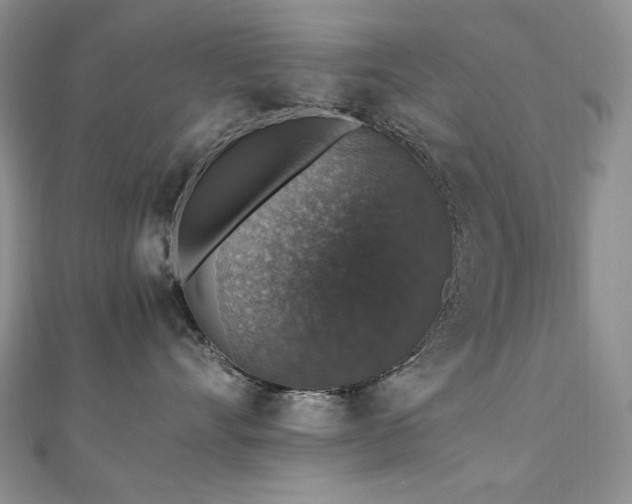 X0000110890528200906181248