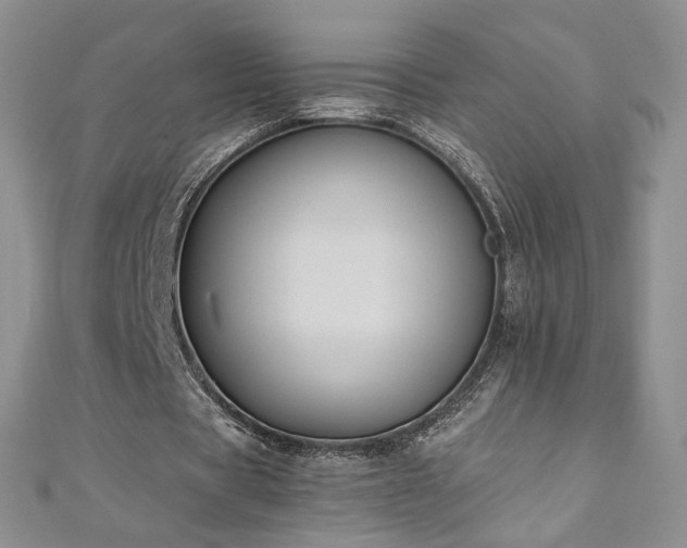 X0000110890529200906181248