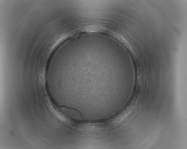 X0000110890530200906181248