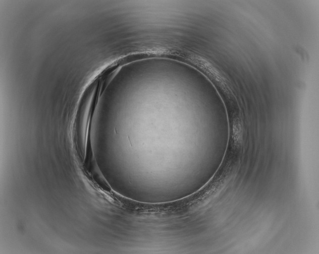 X0000110890532200906181248