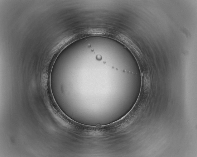 X0000110890533200906181248