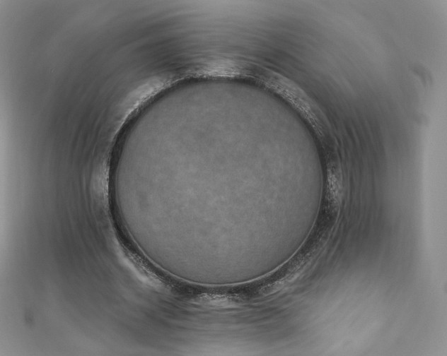 X0000110890534200906181248