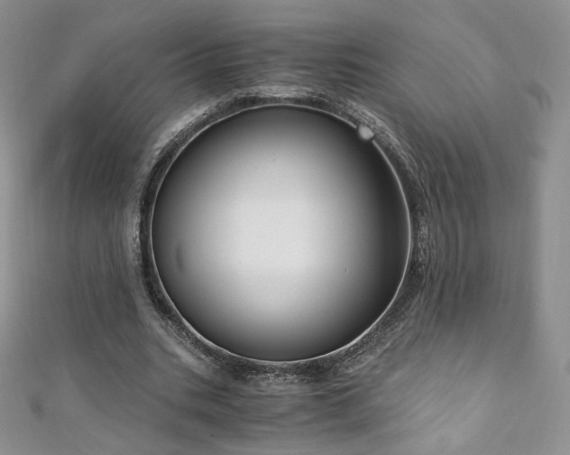 X0000110890535200906181248