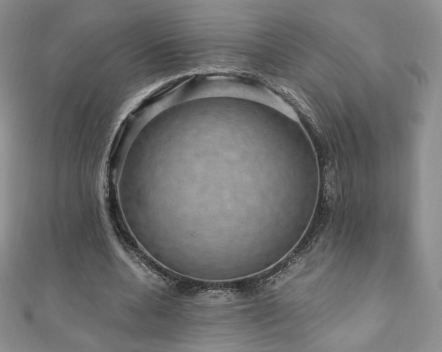 X0000110890536200906181248