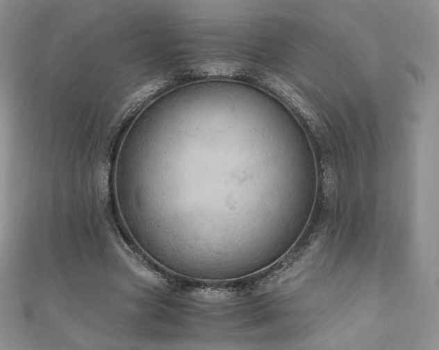 X0000110890537200906181248