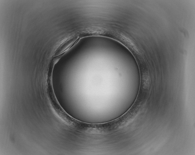 X0000110890538200906181248