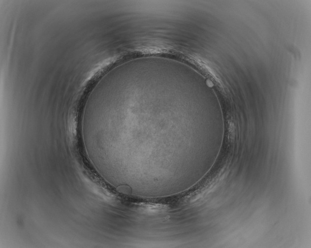 X0000110890539200906181248