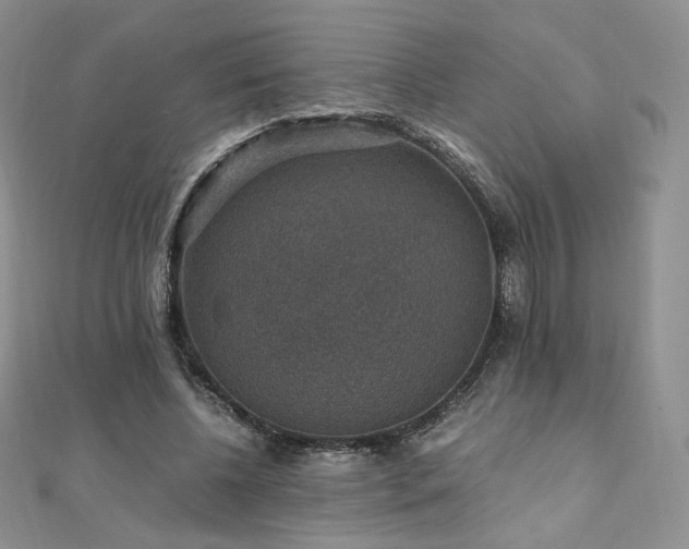 X0000110890540200906181248