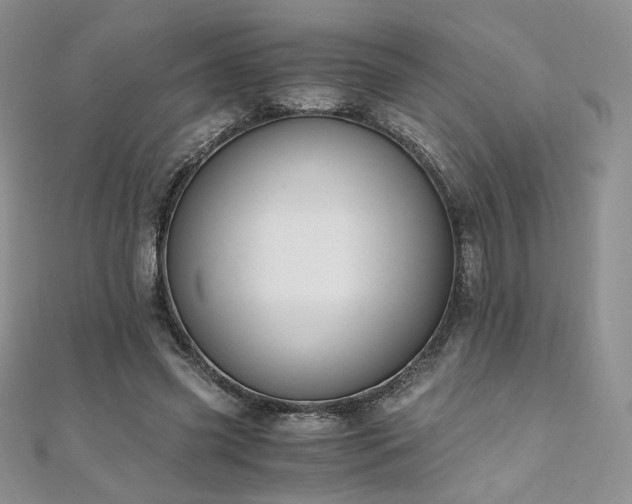 X0000110890541200906181248