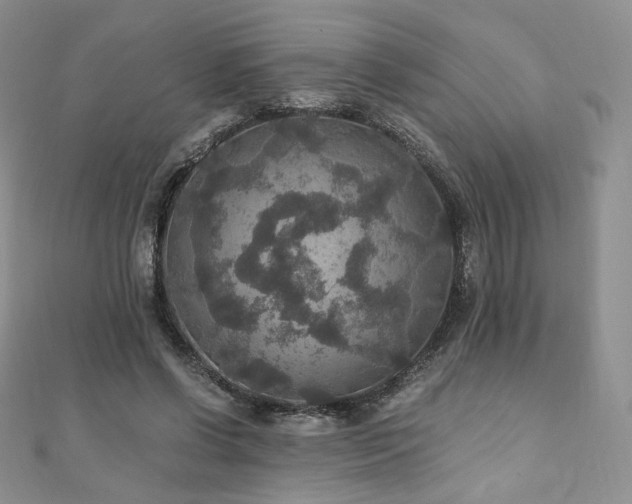 X0000110890542200906181248