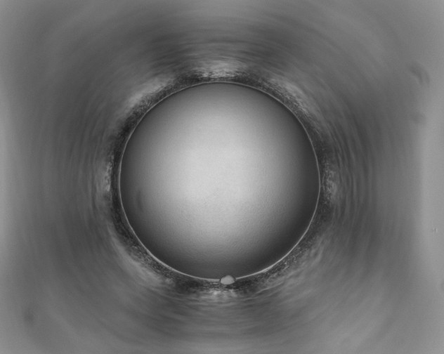 X0000110890543200906181248