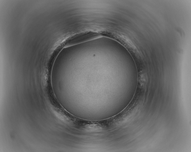 X0000110890544200906181248