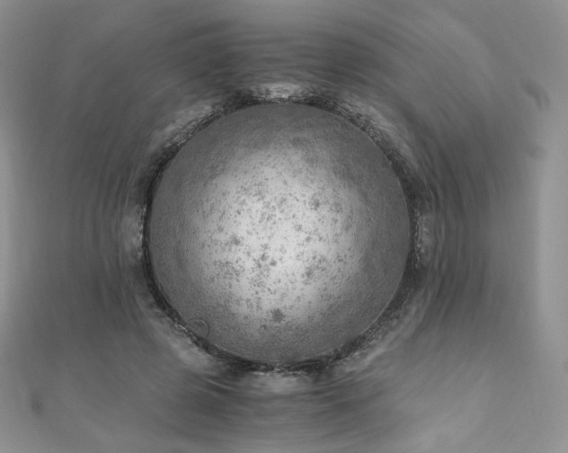 X0000110890545200906181248