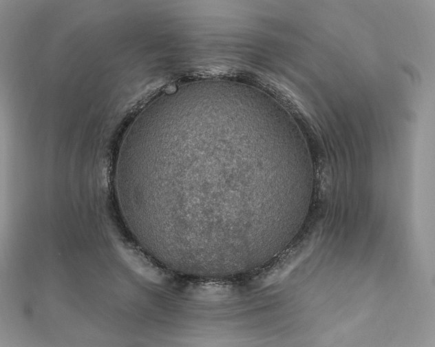 X0000110890546200906181248