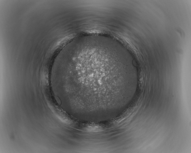 X0000110890547200906181248
