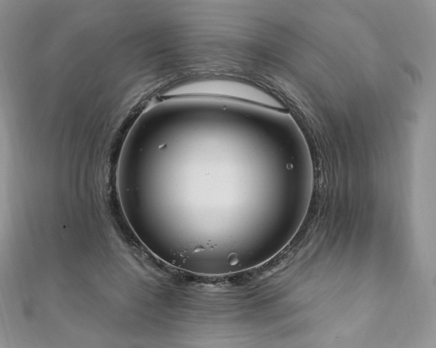 X0000110890548200906181248