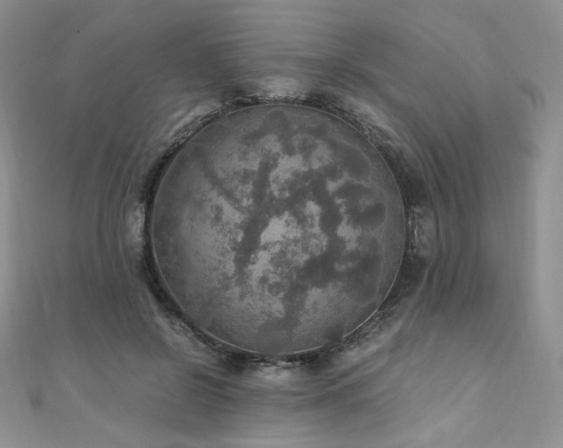 X0000110890550200906181248