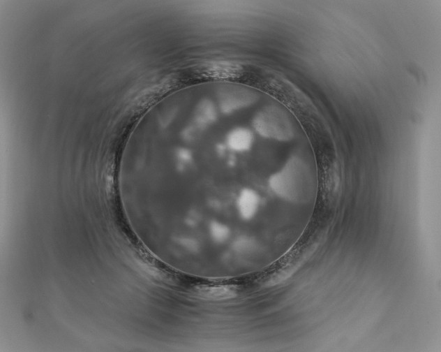 X0000110890553200906181248