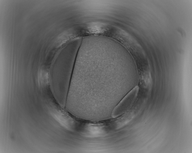 X0000110890556200906181248