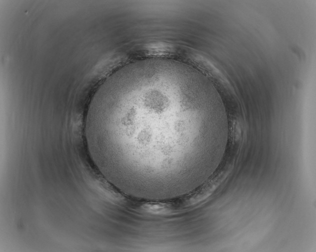 X0000110890557200906181248