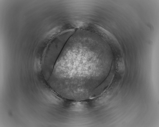 X0000110890558200906181248