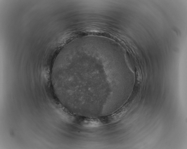 X0000110890559200906181248