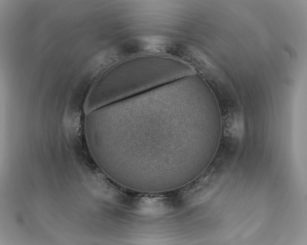 X0000110890560200906181248