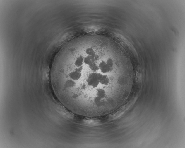 X0000110890561200906181248