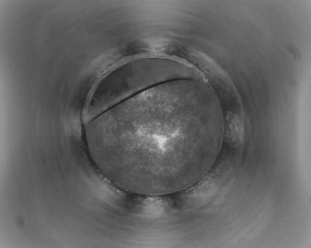 X0000110890562200906181248